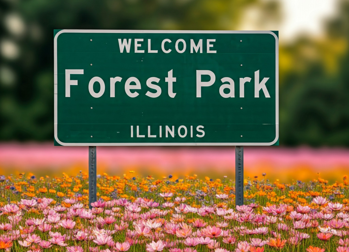 Capturing Forest Park’s Charm: Premier Real Estate Photography by Pix by Painter 