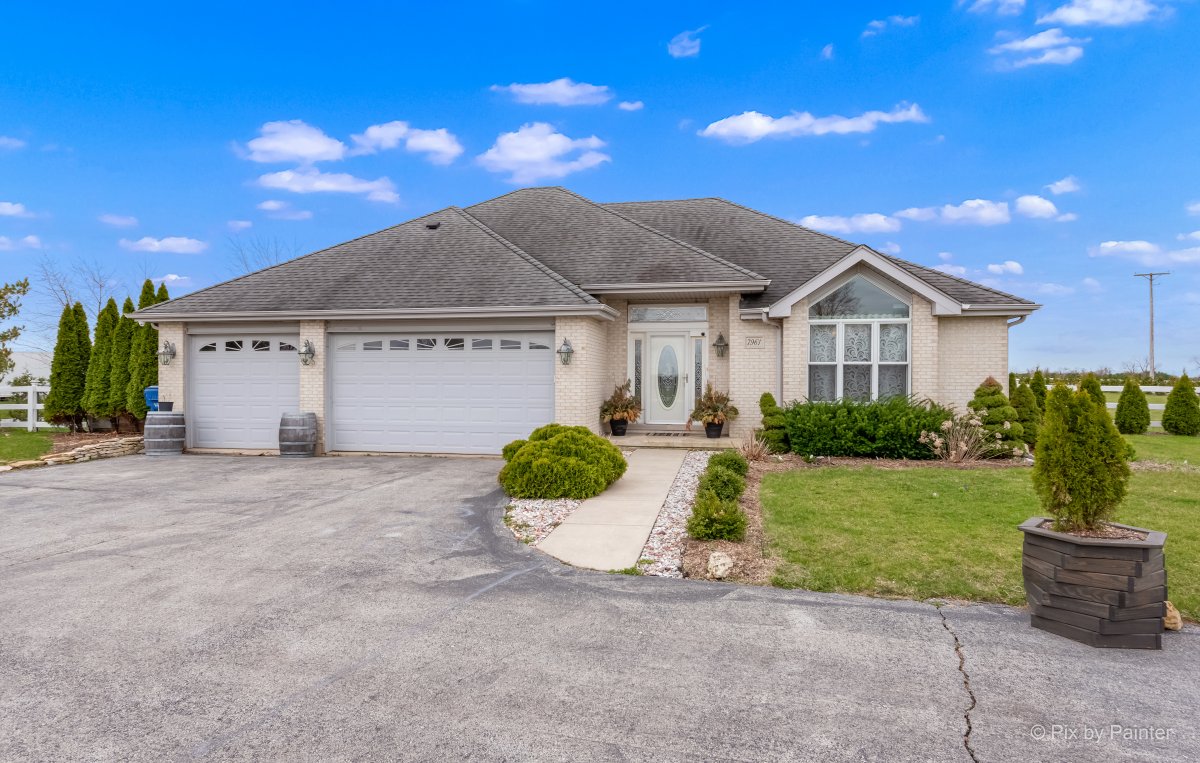 Monee Magnificence: Pix by Painter's Premier Real Estate Photography 