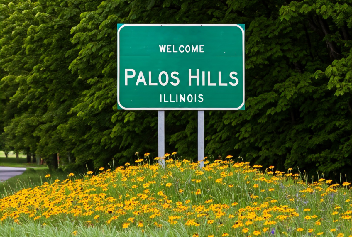 Capturing Palos Hills: Premier Real Estate Photography by Pix by Painter 