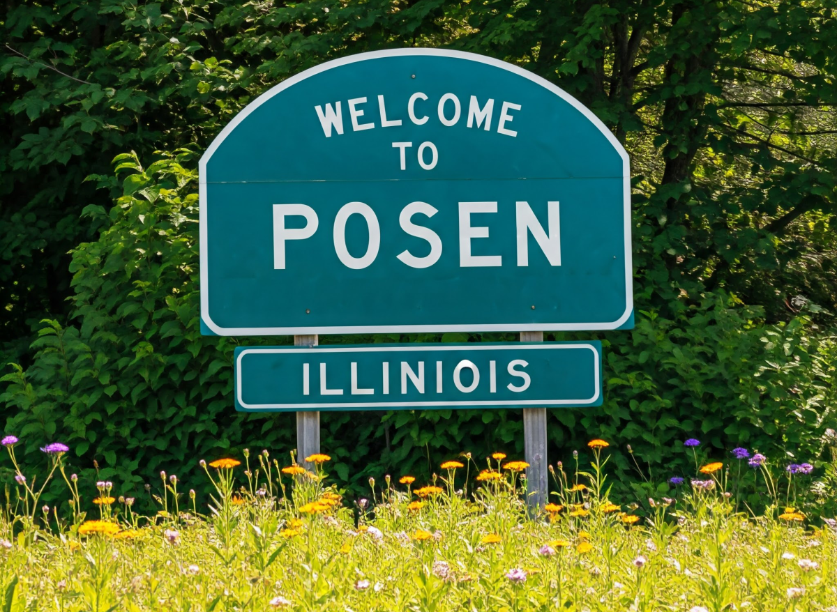 Showcasing Posen’s Best: Professional Real Estate Photography by Pix by Painter
